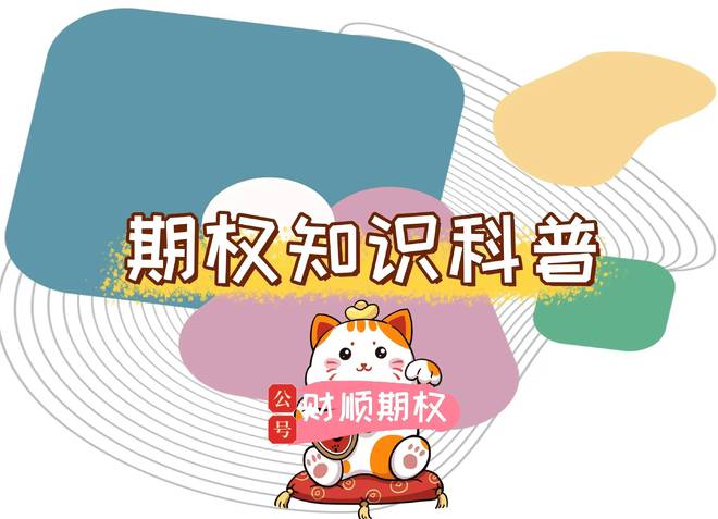 期权杠杆率与真实杠杆率区别_股票10倍杠杆_期权杠杆率计算公式
