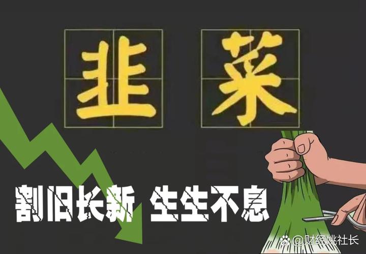老股民轻仓观望_牛市90后炒股_杠杆炒股技巧