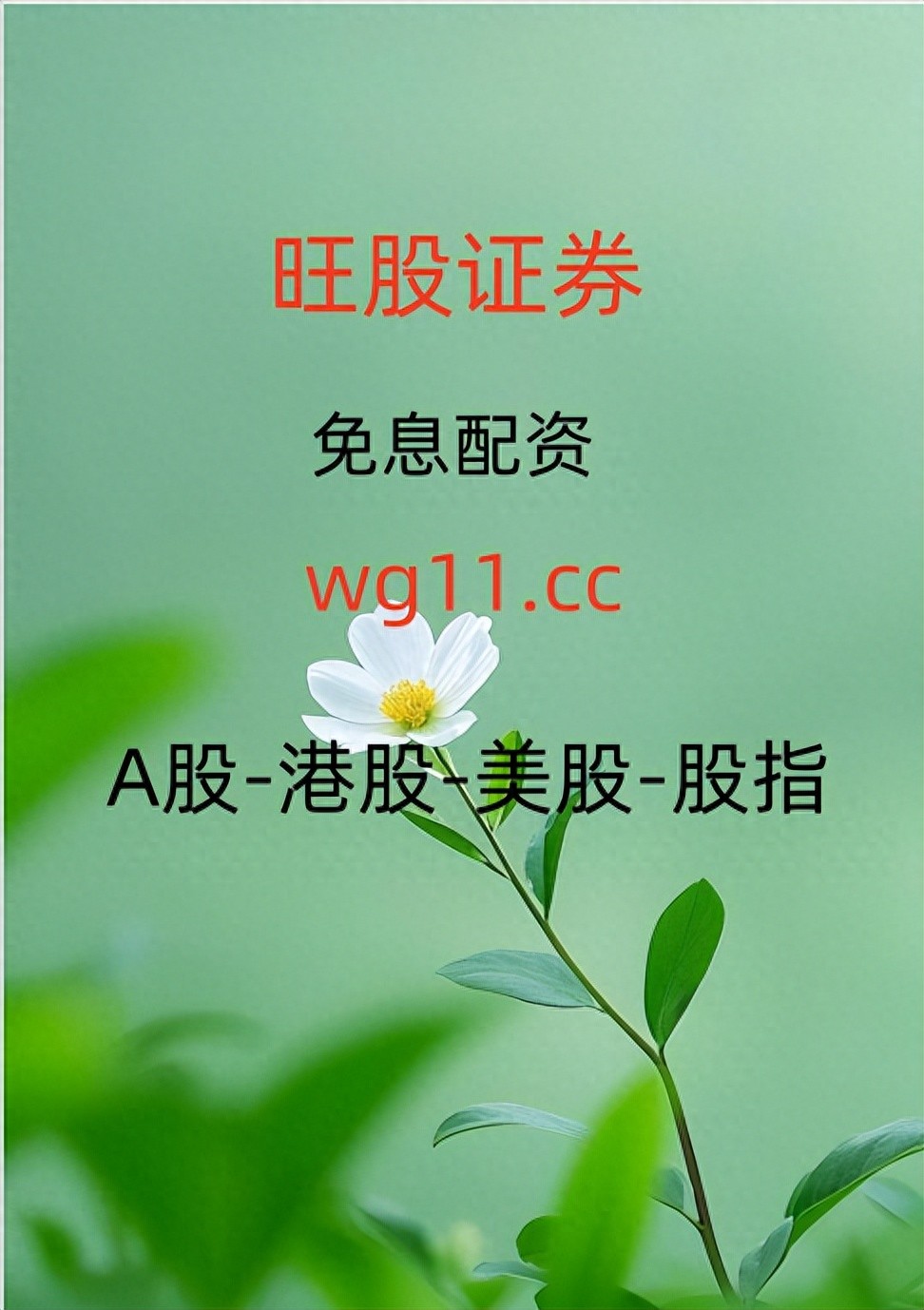 深夜股票配资研究 _炒股票配资_ 正规股票配资公司透明资金流向 