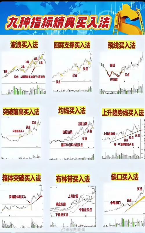 炒股配资基本步骤_专业股票配资_炒股配资平台选择