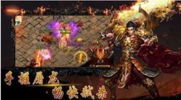 新宝股份业绩说明会_新宝策略_2025年5月13日公告