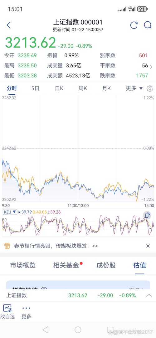 沪指午后暴跌致股民爆仓！股票配资市场，惊险游戏频频上演？