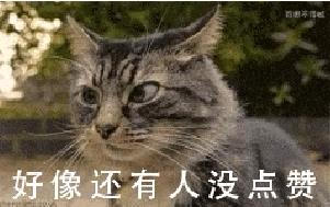 加杠杆炒股风险_什么是杠杆炒股_融资融券杠杆炒股要求