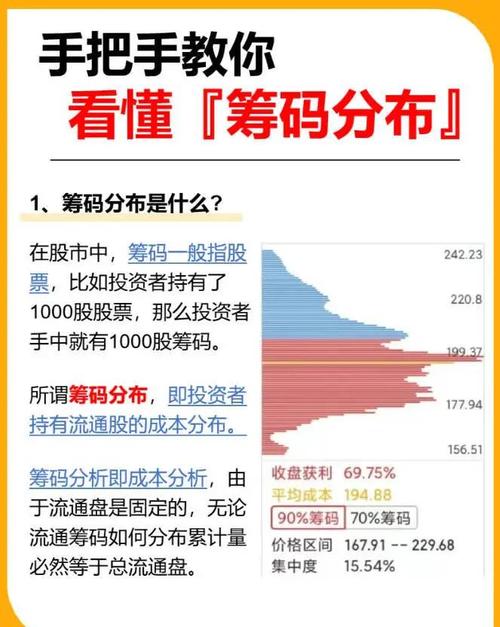 资金分析主力净流入_天瑞投资_主力持仓分析